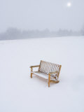 Wooden Bench in a Snow Storm