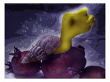Human Form Emerging from Shell