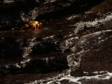 Sally Lightfoot Crab  Grapsus Grapsus  on Waterside Volcanic Rock