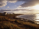 Sea Gulls Fly over the Nova Scotia Coast Line