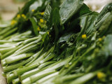 Fresh Cut Bok Choy Greens at the Food or 'Wet' Market
