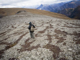 Hiking in the Muskwa-Kechika Management Area