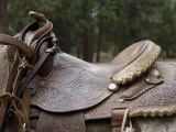 Leather Saddle Strapped onto a Horse at King's Canyon National Park