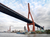 Yangpu Bridge Seen from the Huangpu River in Shanghai  China