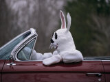 Person in an Easter Bunny Outfit Drives a 1961 Cadillac Convertible