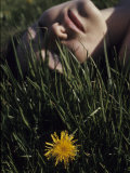 Woman Rests in the Sun in Grass Next to a Dandelion