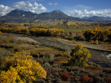Fall Colors Near Durango  Colorado