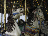 Carousel Horses at Veteran's Park
