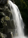 Waterfall Diplay in the Lemur Enclosure at the National Zoo