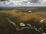 Braided River Ecosystem for Salmon Spawning