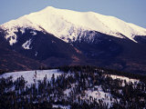 Forested Slopes of the San Francisco Peaks