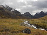 Headwaters of the Tetsa River in the Muskwa-Kechika Management Area