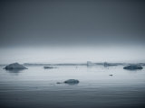 Icebergs Along the Antarctic Peninsula