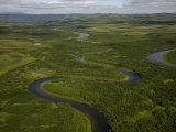 River Ecosystem for Salmon Spawning