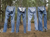 Blue Jeans Drying on a Clothes Line at King's Canyon National Park