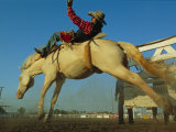 Cowboy Riding a Bucking Bronco