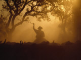Cowboy and Cattle Silhouetted Against the Setting Sun