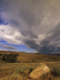 Prairie Grasslands under a Dramatic Cummulus Cloud-Filled Sky