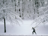 Skier Carries Skis and Poles Through Snow in Schenley Park