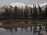 Mentasta Mountains  Alaska