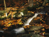 Tumbling Run Along the Appalachian Trail