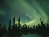 Green Curtain of the Aurora Borealis over the Hudson Bay Area