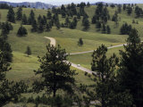 Lone Car Drives Through the 'Wildlife Loop' in Custer State Park
