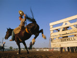 Cowboy Riding a Bucking Bronco