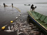 Fishing Brigade on the Bolshaya River