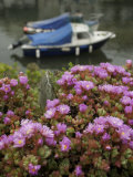 In Polperro  a Small Fishing Village  on the South Coast of Cornwall