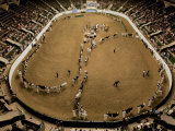 Cattle Show at the Coliseum at the Minnesota State Fair