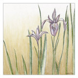Sunset Garden I