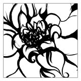 Mini Botanical Sketch IV