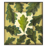 Spring Leaf Study II