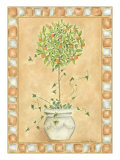Tuscan Fruit I