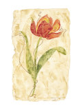 Gilded Tulip I