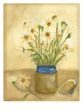 Country Daisy I
