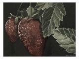 Midnight Strawberries