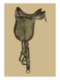 Antique Saddle IV