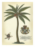 Palm and Crest I