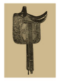 Antique Saddle III