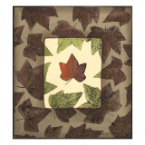 Autumn Leaf Study I