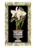 Orchid in Urn I