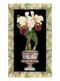 Orchid in Urn II