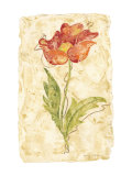 Gilded Tulip II