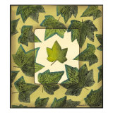 Spring Leaf Study I