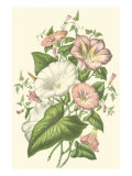 Summer Garden V