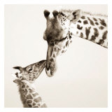Precious Moments I