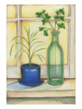 Sunkissed Herbs II