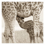 Precious Moments III